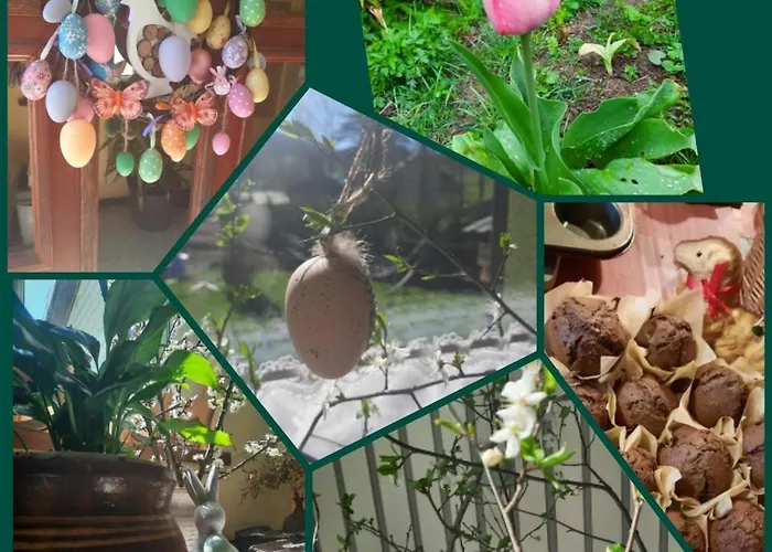 Farma Goscina U Kowala